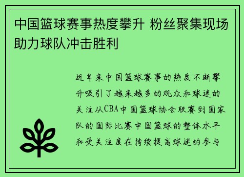 中国篮球赛事热度攀升 粉丝聚集现场助力球队冲击胜利