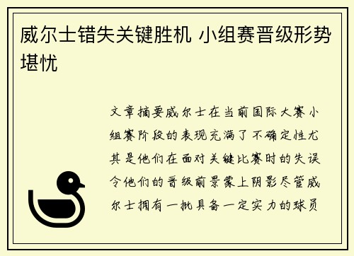 威尔士错失关键胜机 小组赛晋级形势堪忧