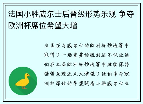法国小胜威尔士后晋级形势乐观 争夺欧洲杯席位希望大增