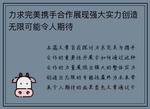 力求完美携手合作展现强大实力创造无限可能令人期待