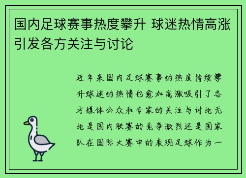 国内足球赛事热度攀升 球迷热情高涨引发各方关注与讨论