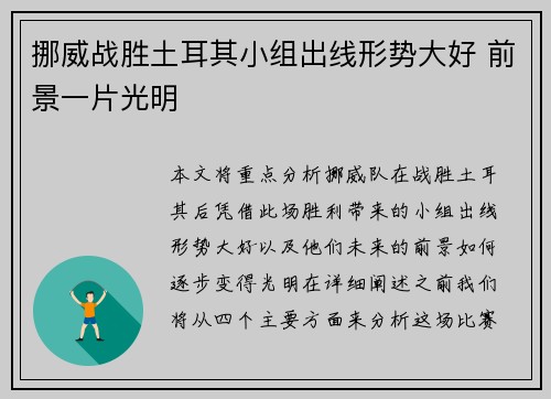 挪威战胜土耳其小组出线形势大好 前景一片光明