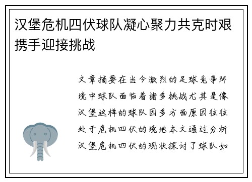 汉堡危机四伏球队凝心聚力共克时艰携手迎接挑战